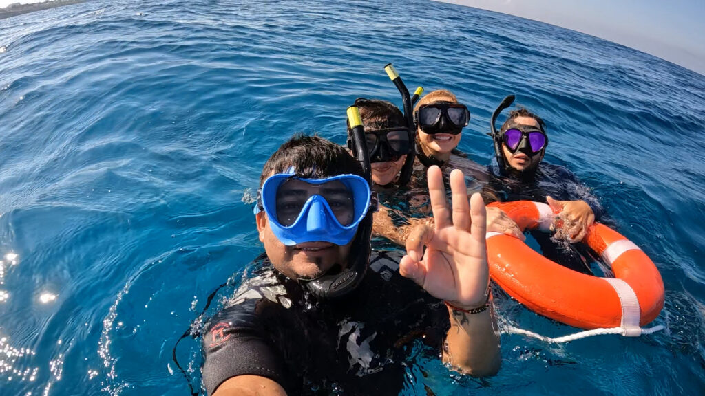Swim with whale sharks in Isla Mujeres - group snorkeling tour