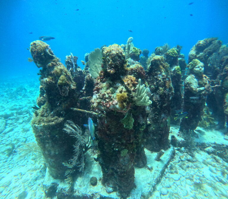 Statues of the MUSA underwater museum in Isla Mujeres