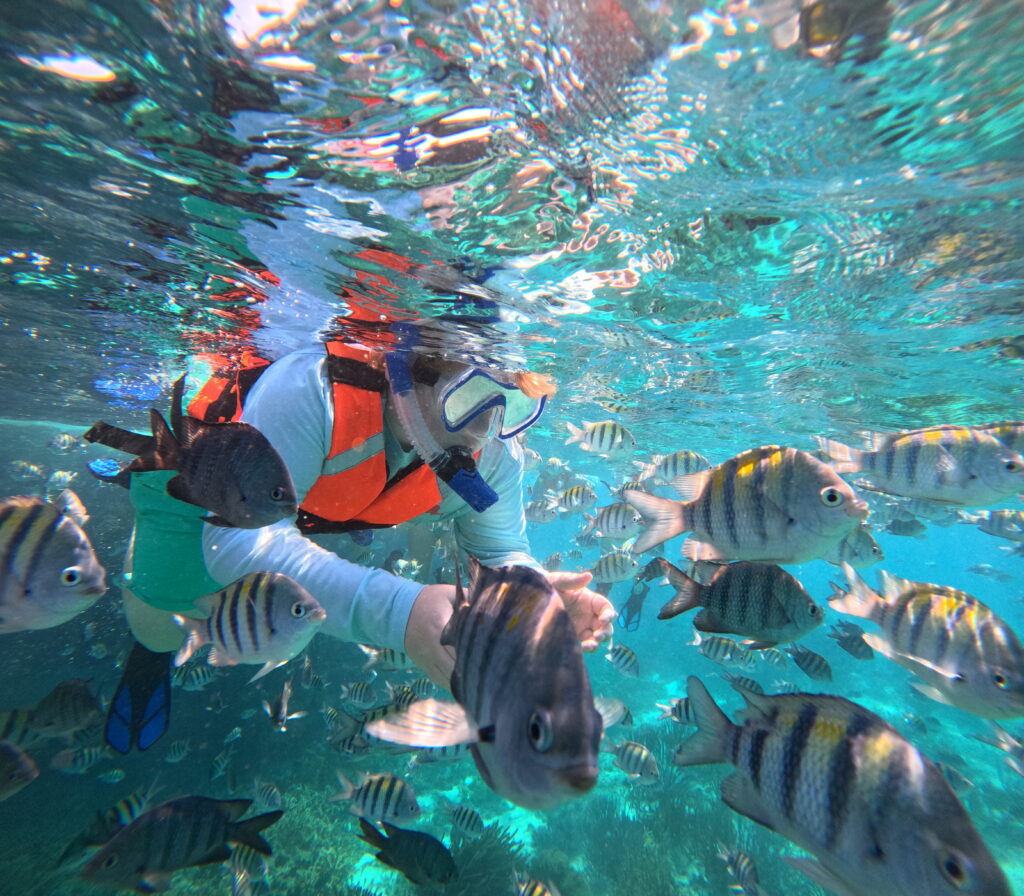 snorkeling-tour-isla-mujeres