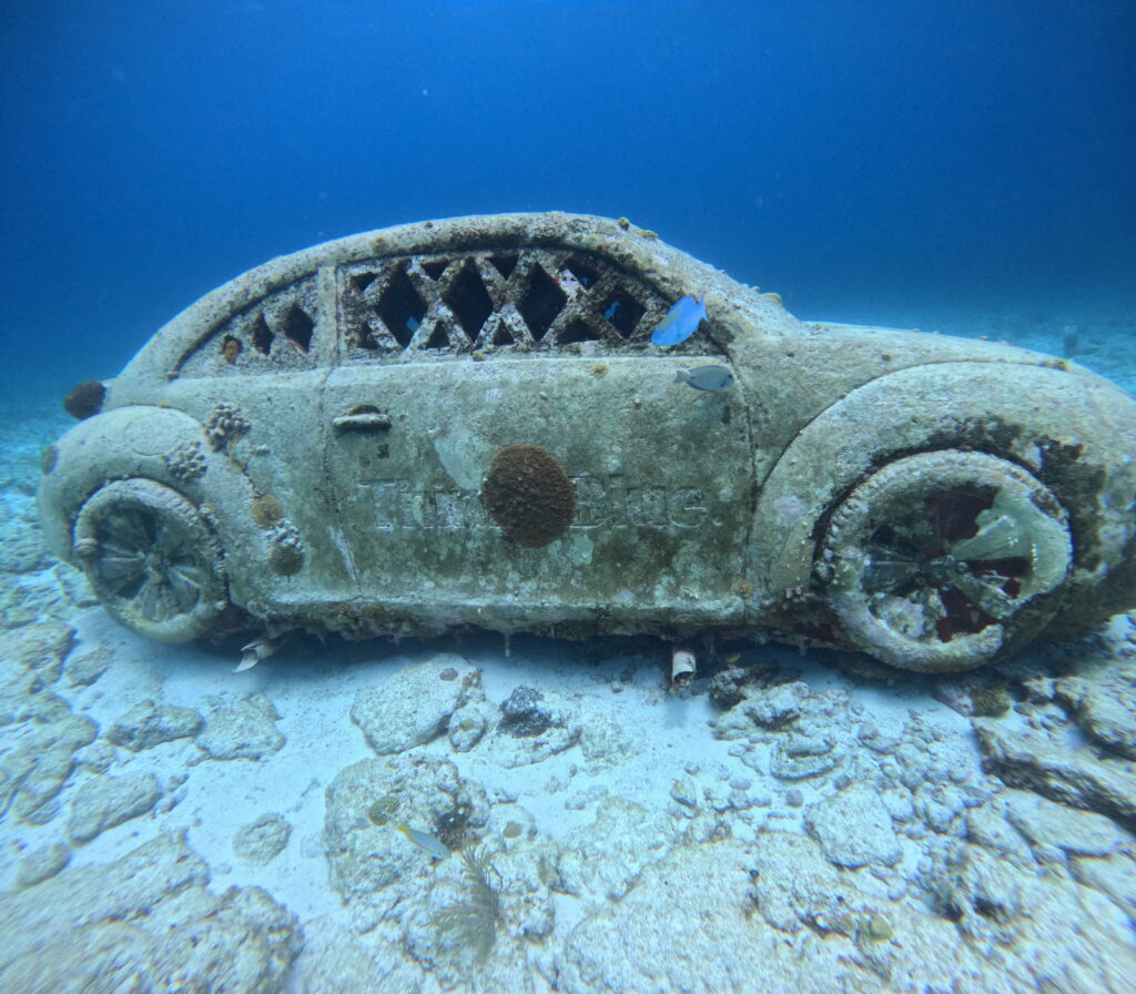 manchones-reef-isla-mujeres