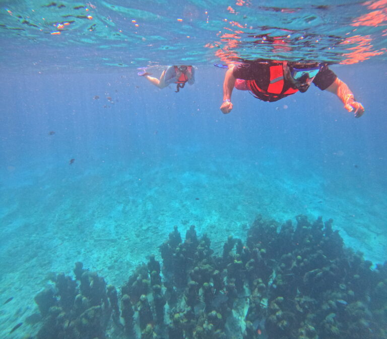 Snorkeler floating over a shallow reef in Isla Mujeres