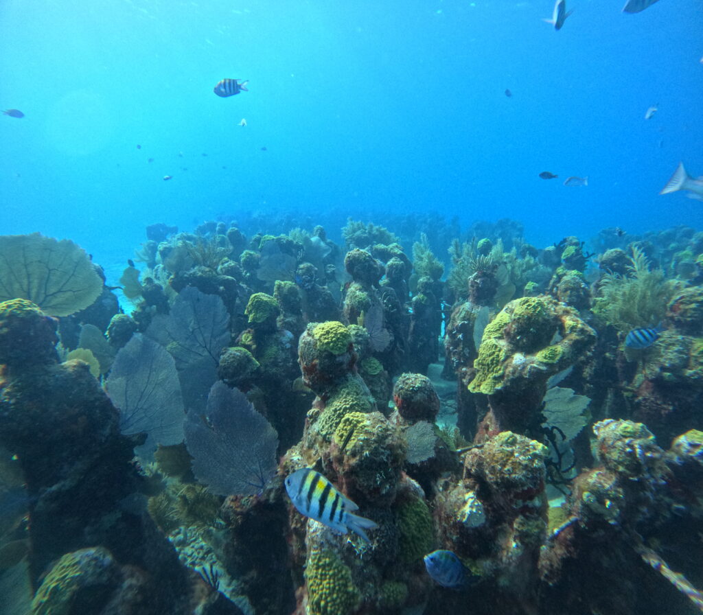 subacuatic-museum-isla-mujeres