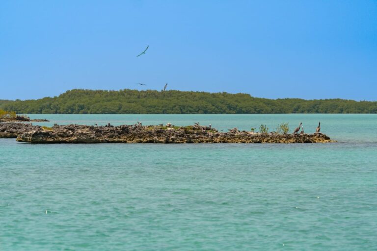 Turquoise water and green coastline of Isla Contoy