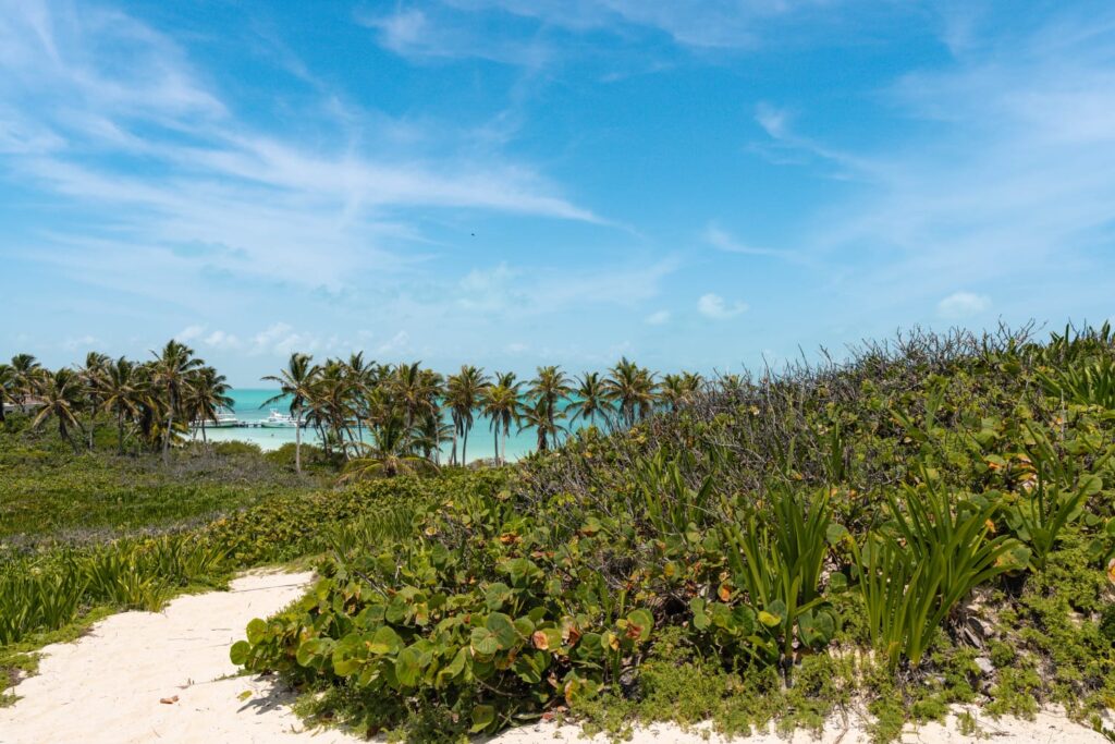 Sandy path through the dunes to the beach on Isla Contoy