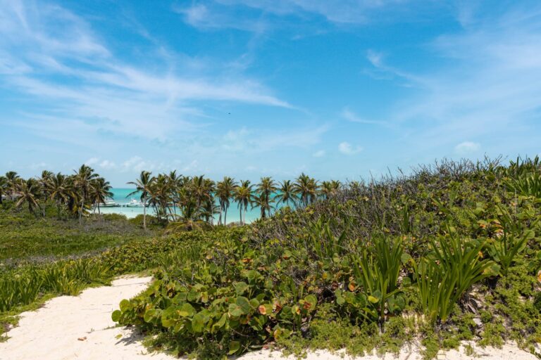 Sandy path through the dunes to the beach on Isla Contoy