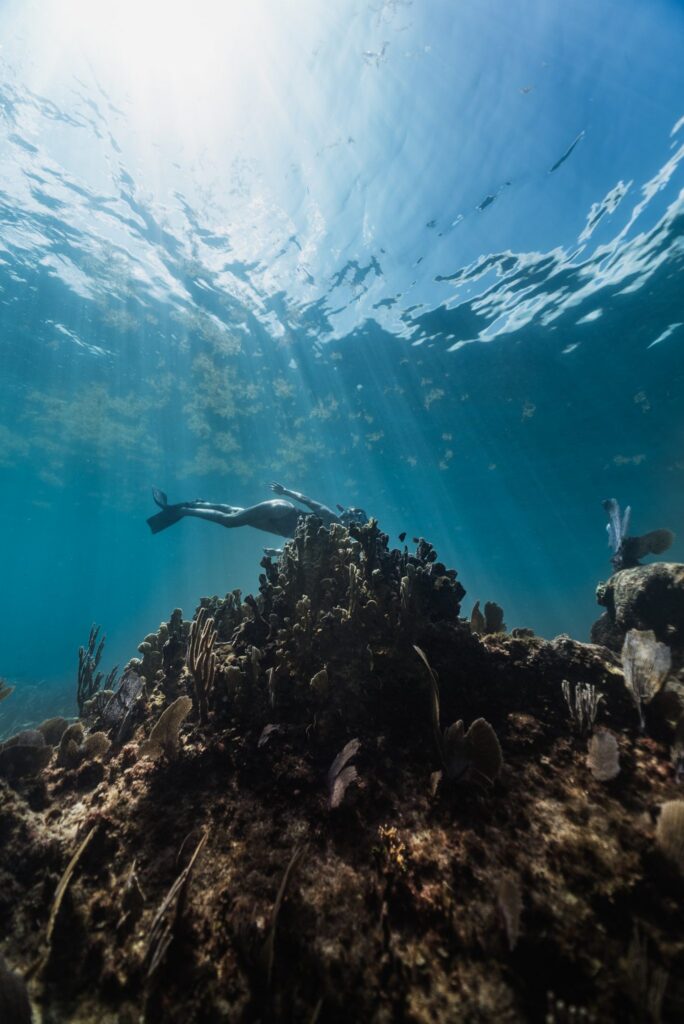 Snorkeler gliding over a coral reef in the Mexican Caribbean
