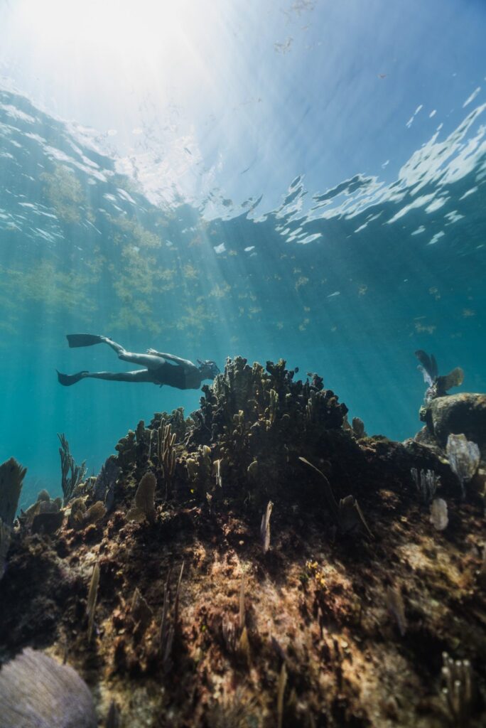 Snorkeler diving over a coral reef with sun rays, Isla Mujeres
